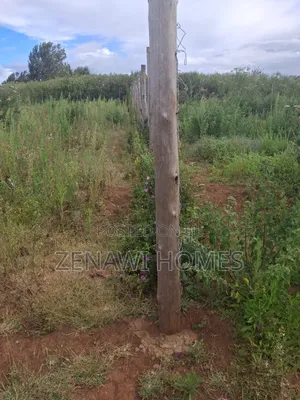 1⁄8 Acre Plots on Sale. DMM
