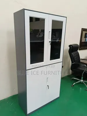 Modern Half Glass Steel Cabinet 2 Door