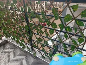 Artificial Hedge Privacy Fence (Retractable) – Outdoor Green Wall