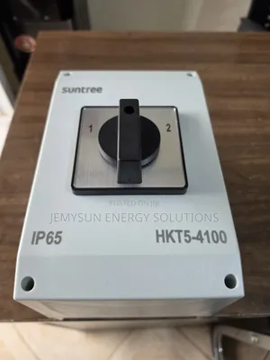 Suntree 100amps 4-Pole Manual Changeover Switch - Ip65 Rated