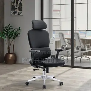 Office Chair : B210 Bionic Ergonomic High Back Chair