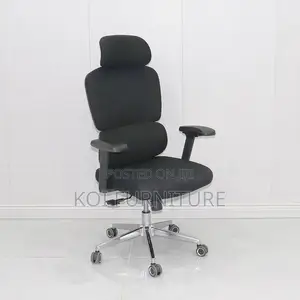 Office Chair : B210 Bionic Ergonomic High Back Chair