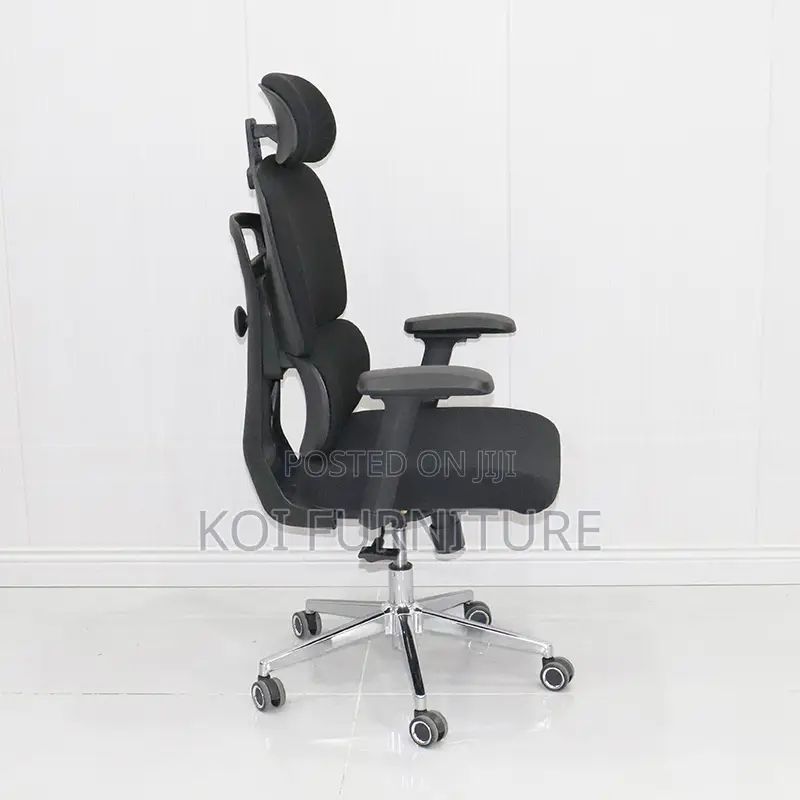 Office Chair : B210 Bionic Ergonomic High Back Chair