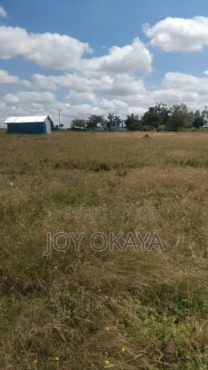 Land Plots