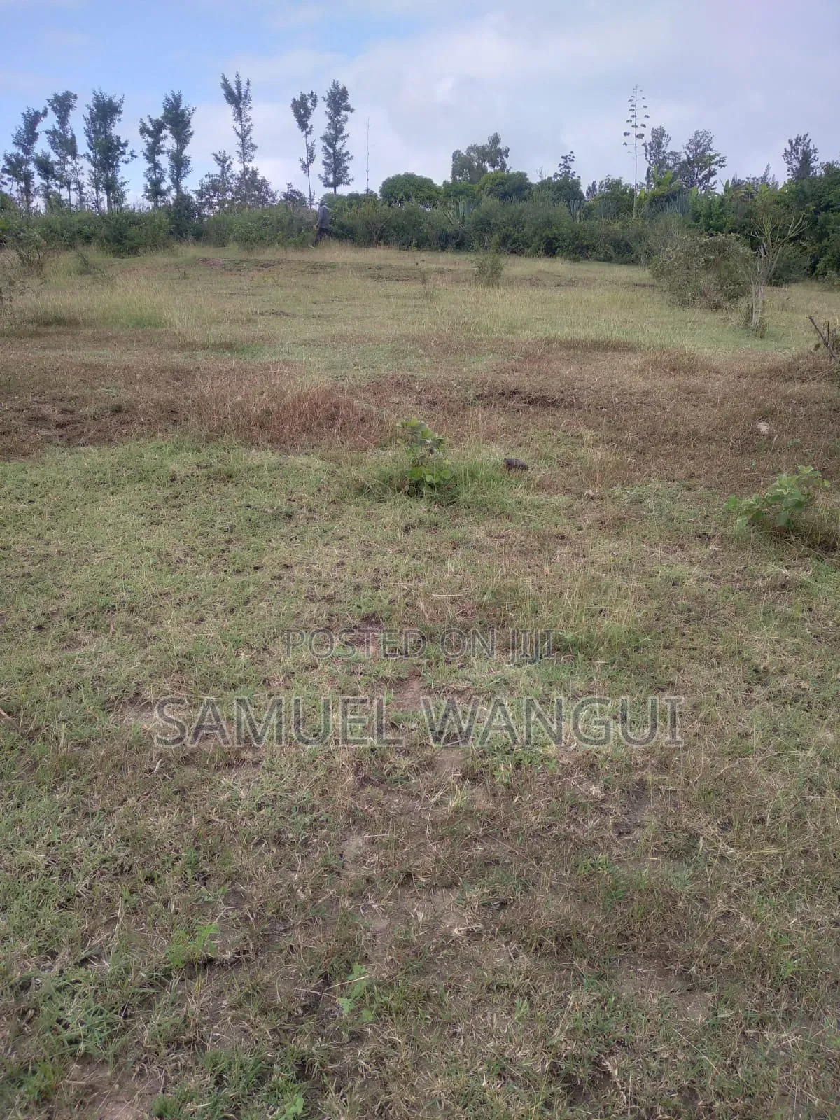 Plot for Sale
