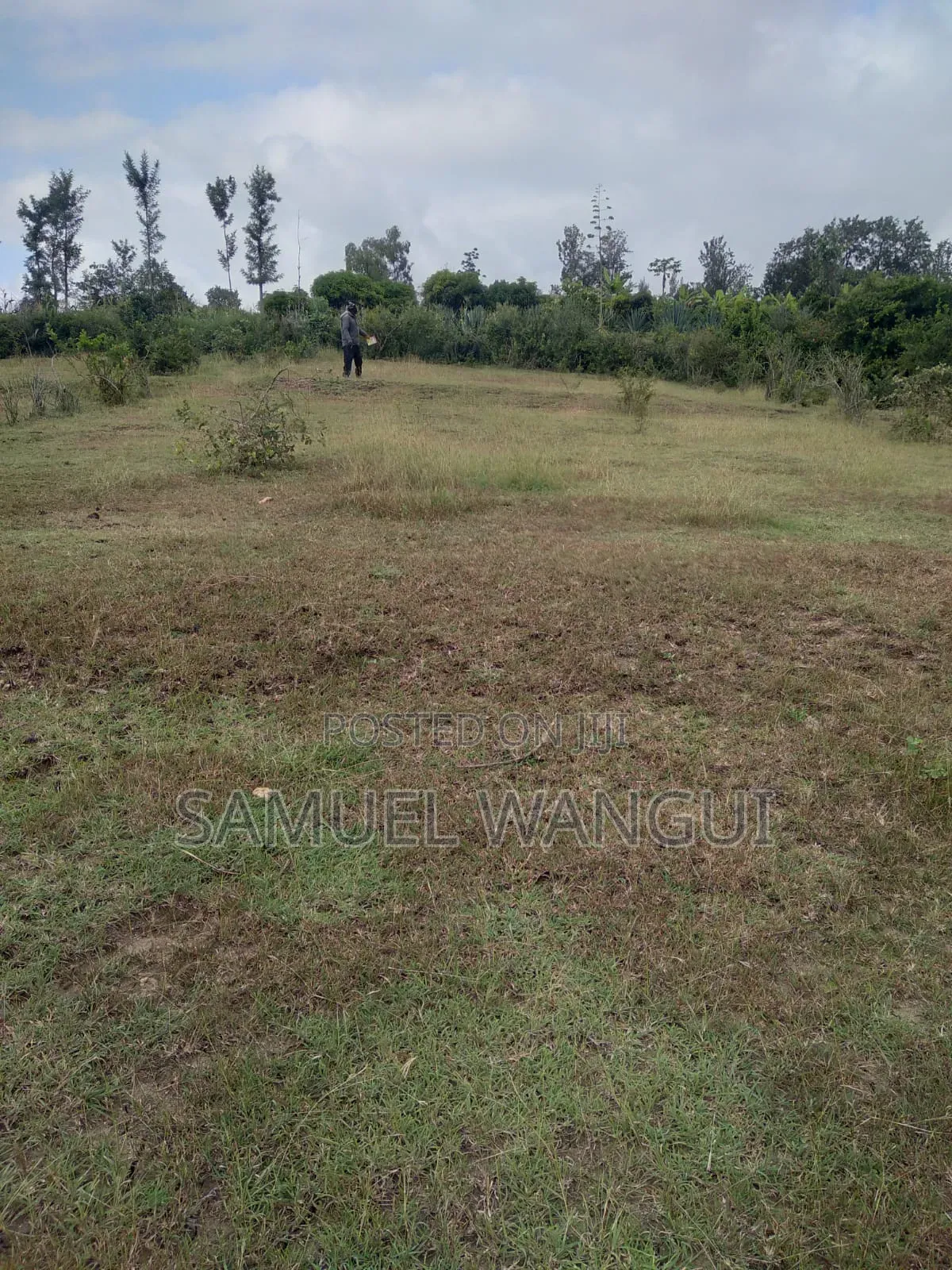 Plot for Sale