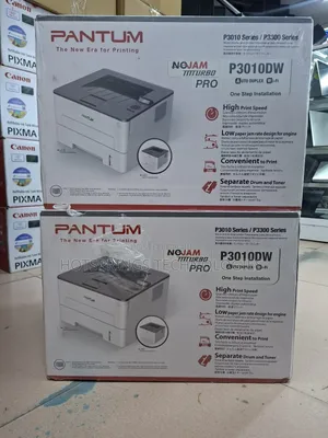 Pantum P3300dw Mono Laser Single Function Printer