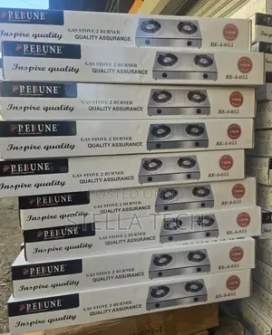Rebune Double Burner Gas Stove Cooker