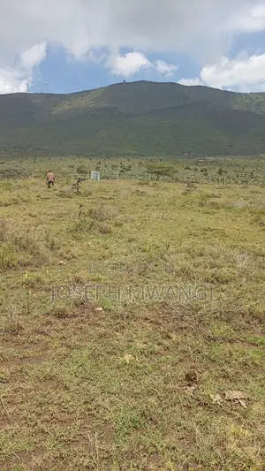 50*100 Plot in Kimuka