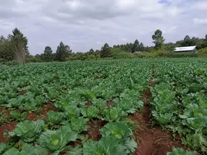 Matuu Land for Sale