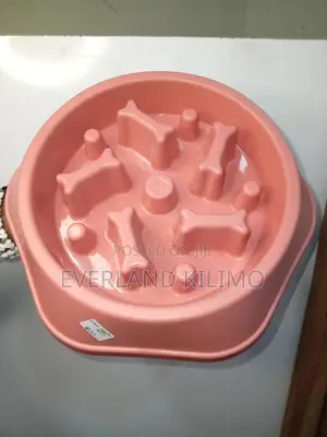 Slow Dog Bowl Feeder - Various Colors