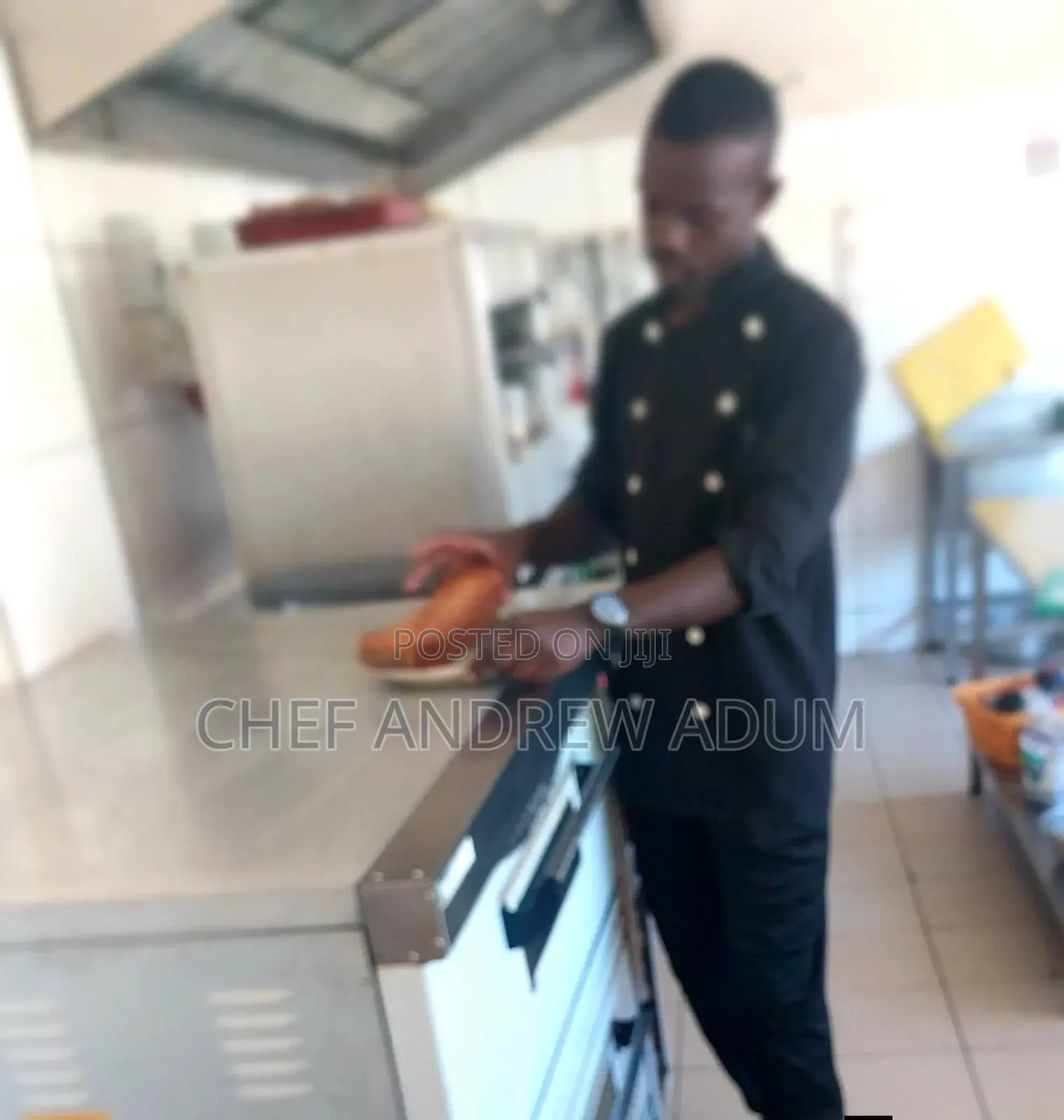 Looking for a CV as a Chef
