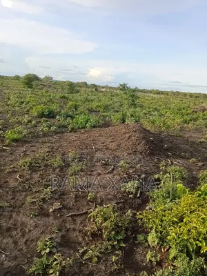 Get 7.5 and 15 Acres With Ready Title Deed in Chakama