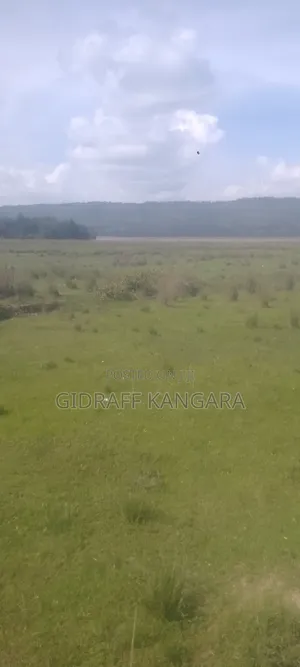 Selling 15 Acres in Nyandarua County Kirima Near Lake Olobolosat