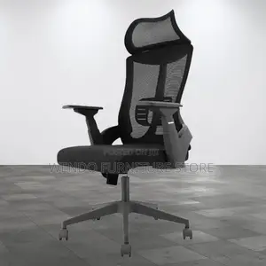 Office Chair Lama High-Back Orthopedic Office Chair