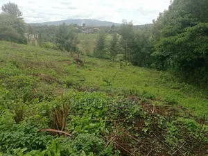 Land for Sale – 15 Acres in Migaa Golf Estate, Kiambu*