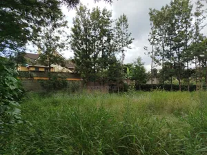 Prime Secure Residential 1/4 Acre Plot