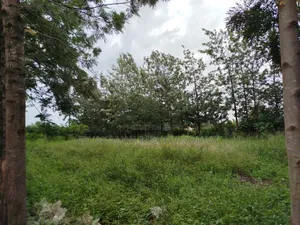 Prime Secure Residential 1/4 Acre Plot