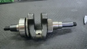 186f Diesel Threaded Type Crankshaft