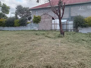 1/8 Plot in Muigai Estate