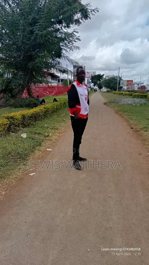 In Search of Job