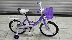 Kid's Bicycle Size 16 Perfect Gift for a Girl