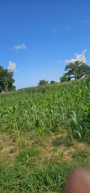 12 Acres Agricultural Land on Sale Mavueni Near Bahari Girls