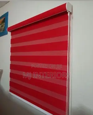 Modern Zebra Blinds for Home Office Day and Night Shades
