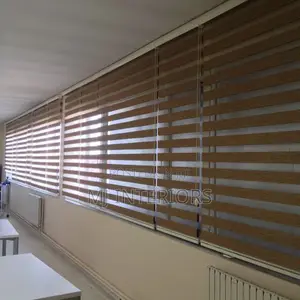 Stylish Zebra Blinds for Windows Modern Light Control Design