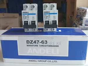 Double Pole McB/Miniature Circuit Breakers C63(Double Pole)