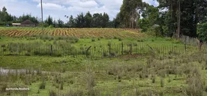 3 Acres Up for Sale in Eldoret Kapseret in St George's
