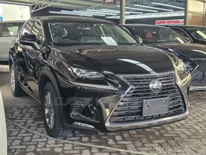 Lexus NX 300 AWD 2019 Black
