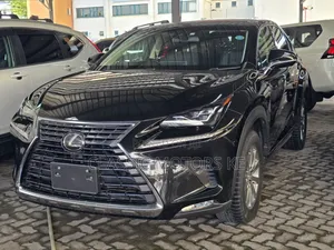 Lexus NX 300 AWD 2019 Black