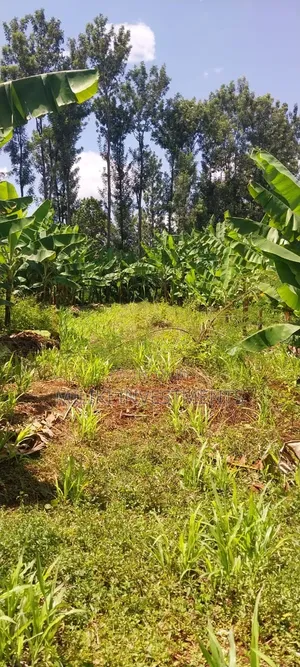 3 Acres on Sale at Summary- Maragua