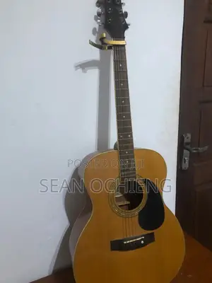 Acoustic Guitar