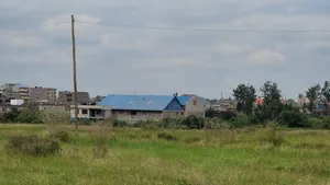 50×100 Plot for Sale in Juja