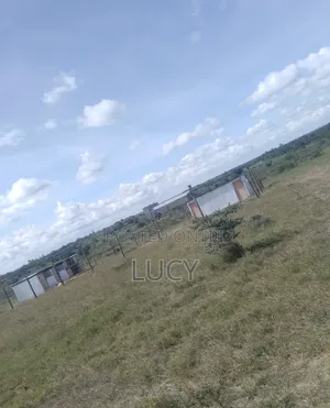 Isinya Highway Gardens