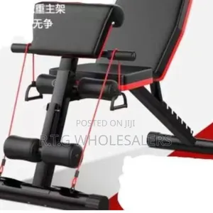 Adjustable Multi-Function Gym Bench