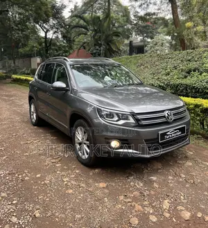 Volkswagen Tiguan SE 4Motion 4dr SUV AWD (2.0L 4cyl Turbo 6A) 2014 Gray