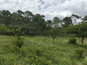 Quarter Acre Plot for Sale Near Merisho, in Matasia Ngong