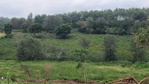 454 Acres on Sale at Gatanga