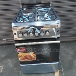 Roch 50*55 3+1 Gas Electric Cooker – Silver