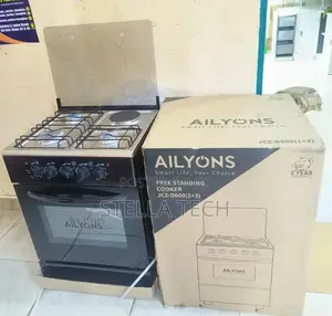 50*55 Ailyons 3+1 Standing Cooker