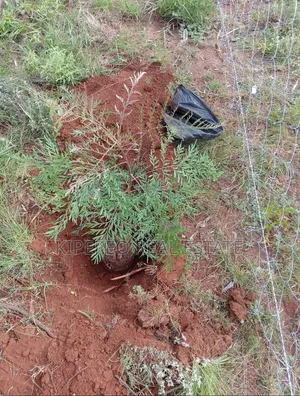 Land for Sale Ngong Kimuka 50 Metres From Tarmac in a Gated Community