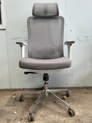 Office Chair : Ergonomic High-Back Mesh Office Chair,
