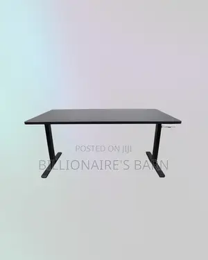 1600x800mm Dual Motor Electric Standing Desk Ergonomic Workstation
