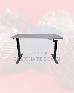 Single Motor Electric Standing Desk Ergonomic One Piece Sit