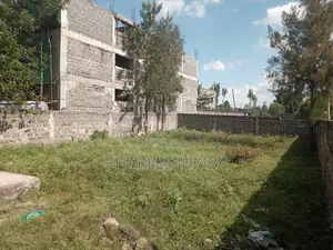 New Valley Plot