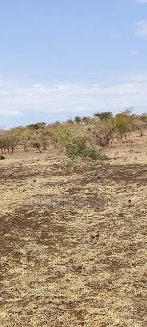 5 Acres Land for Sale Along Meru Isiolo Road Near Kisimani