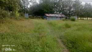 Kitengela Kisanju